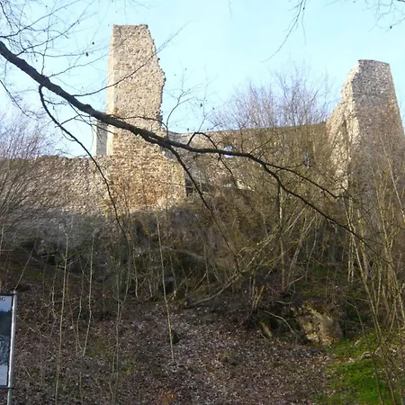 Fleischmann Roding