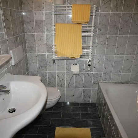 弗莱施曼潘森酒店 招待所