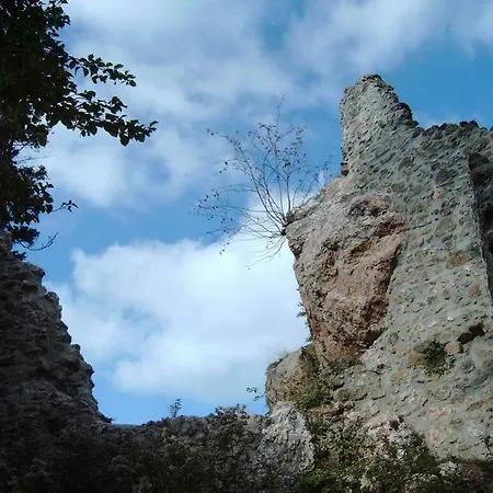 弗莱施曼潘森酒店 招待所