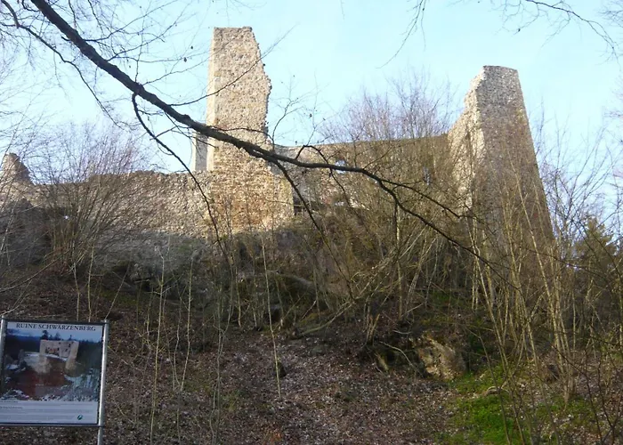 Fleischmann Roding